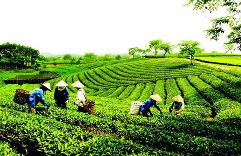 Nông sản “lên sàn” - Cú hích phát triển kinh tế nông nghiệp